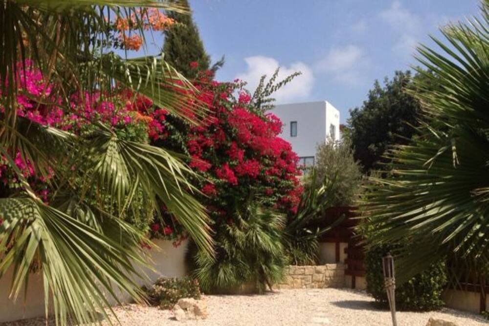 Photo of Outdoor in Chlorakas