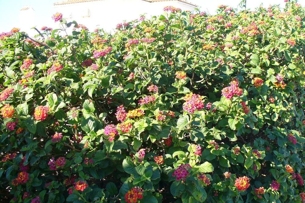 Photo of Outdoor in Agios Nikolaos