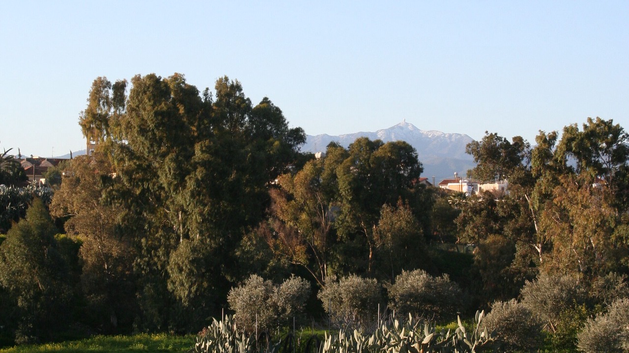 Photo of Others in Deftera