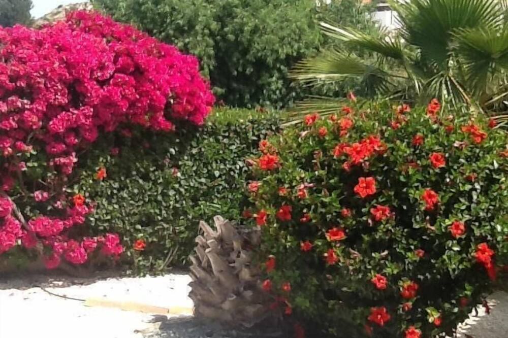 Photo of Outdoor in Pissouri