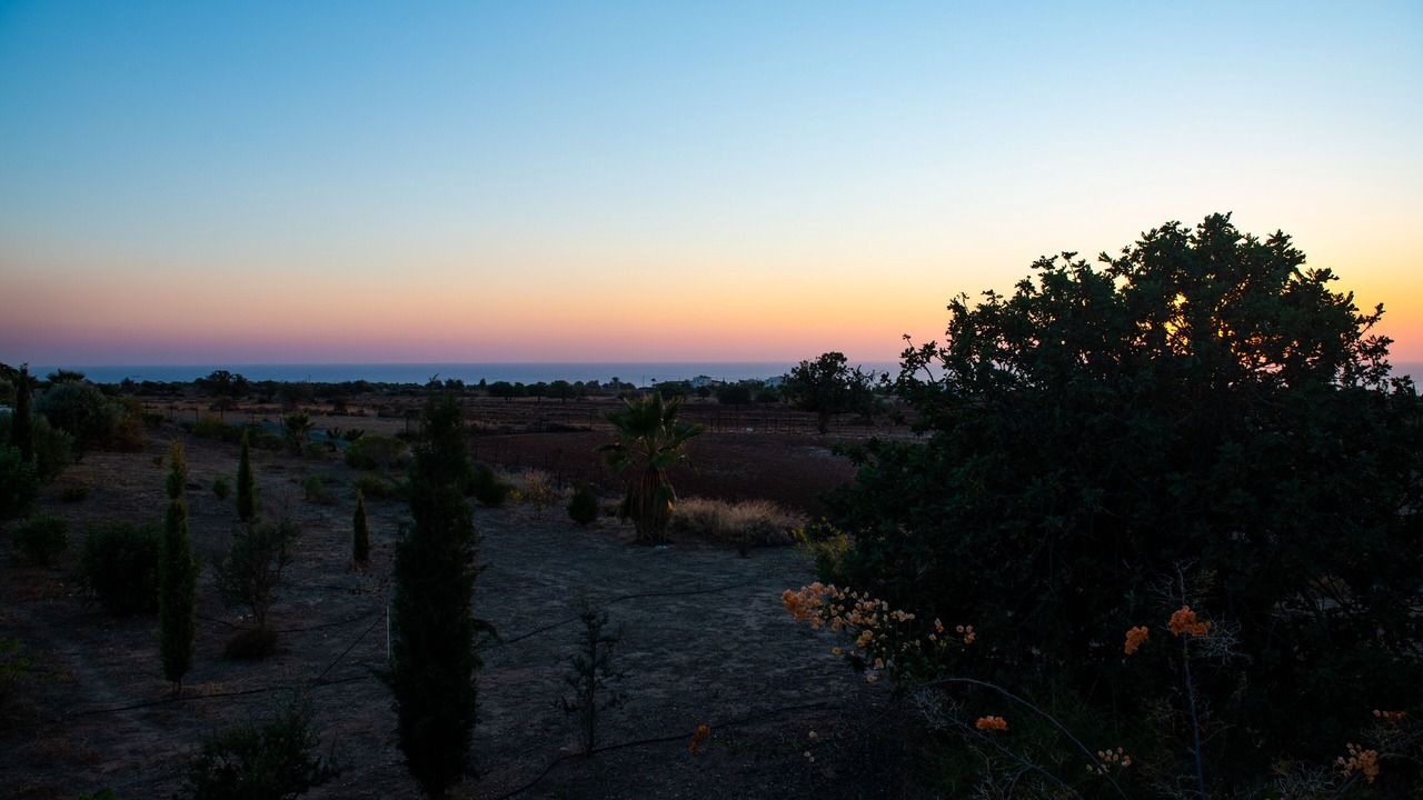 Photo of Outdoor in Pegeia