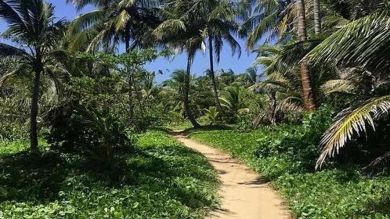 Photo of Outdoor in Little Corn Island