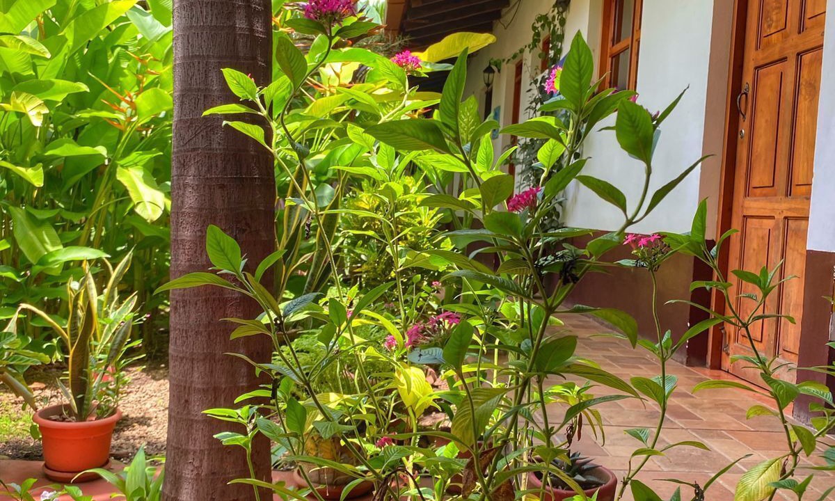 Photo of Patio Balcony in Leon