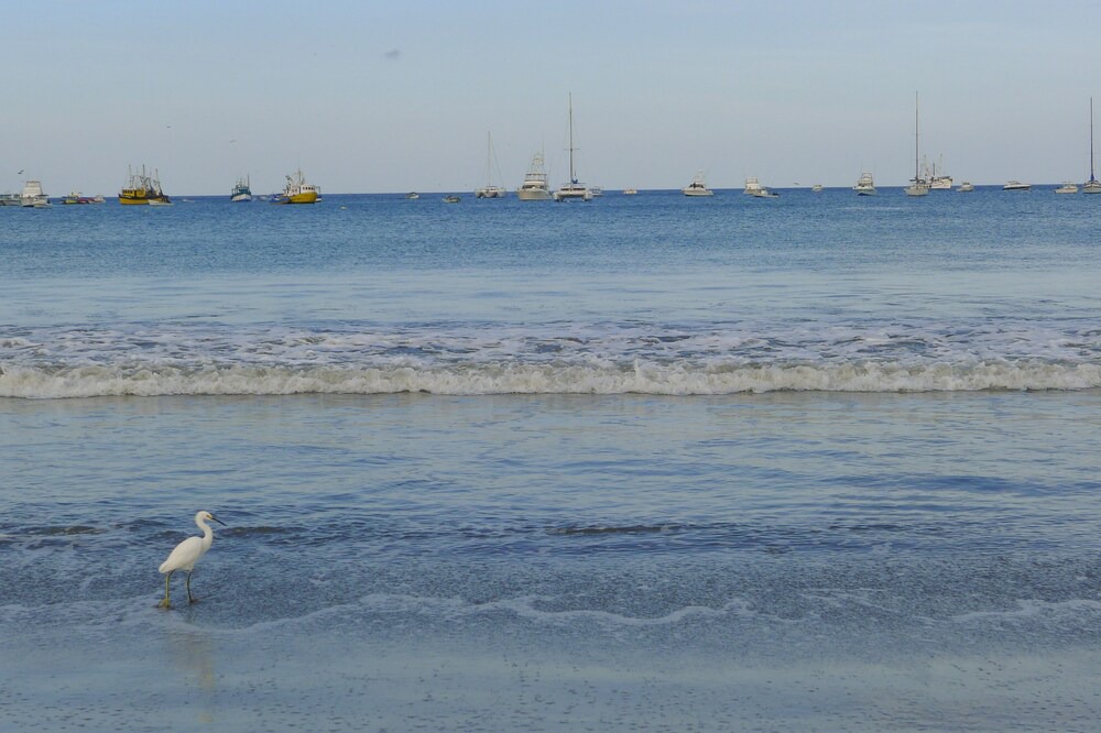 Photo of Others in San Juan del Sur