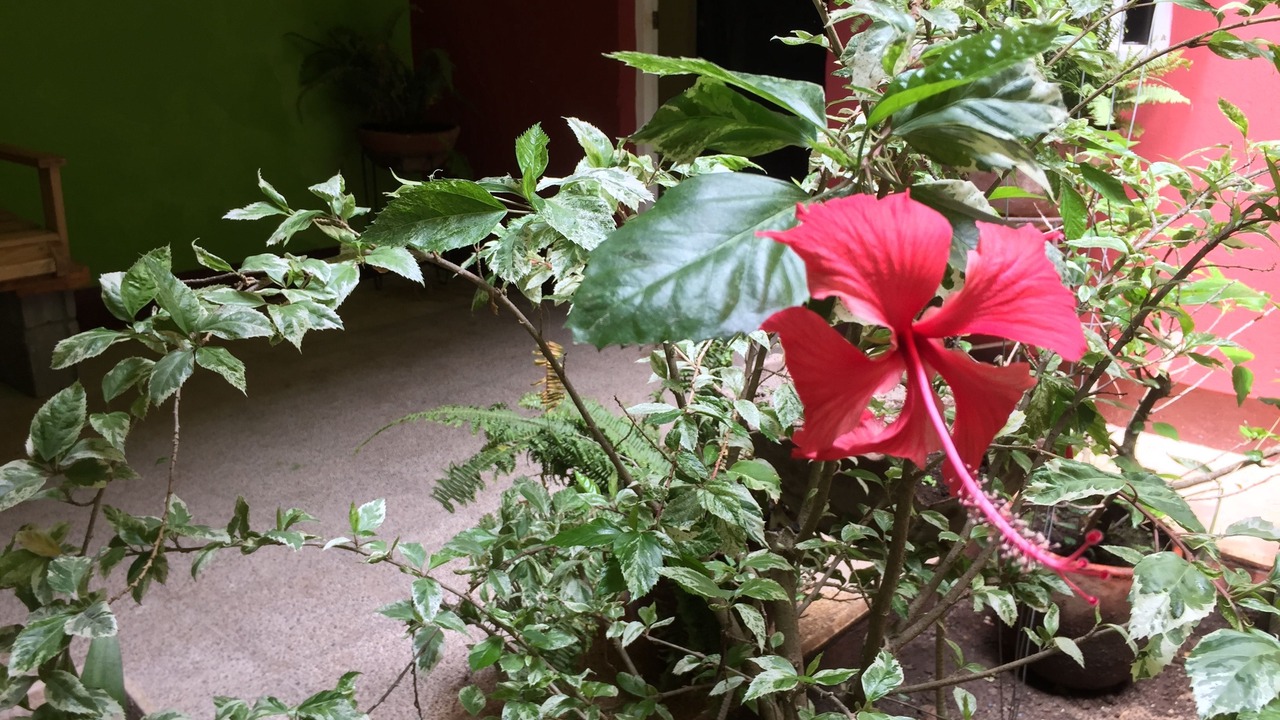Photo of Outdoor in Granada