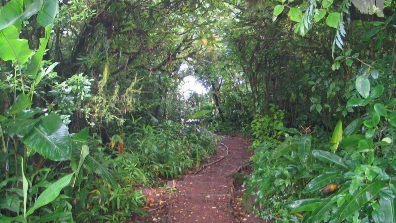 Photo of Outdoor in Mombacho Volcano Nature Reserve