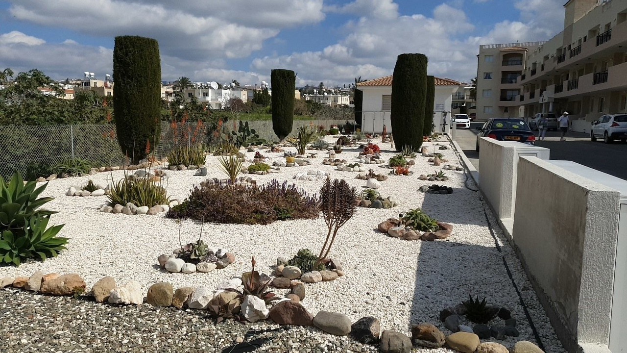 Photo of Outdoor in Paphos