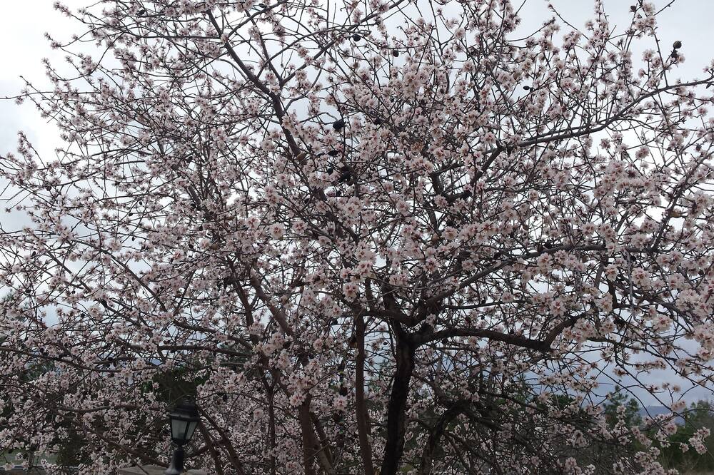Photo of Outdoor in Vouni