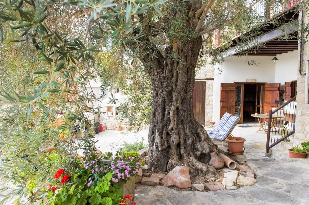 Photo of Outdoor in Vouni