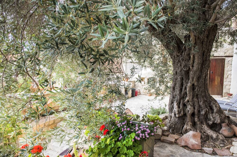 Photo of Outdoor in Vouni