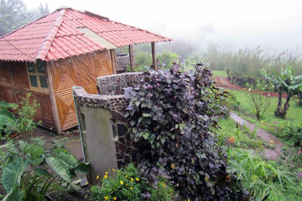 Photo of Outdoor in Puertas Azules
