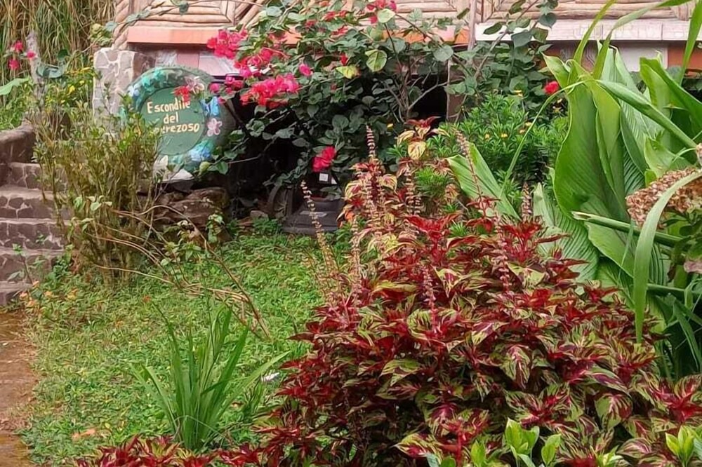 Photo of Patio Balcony in Puertas Azules