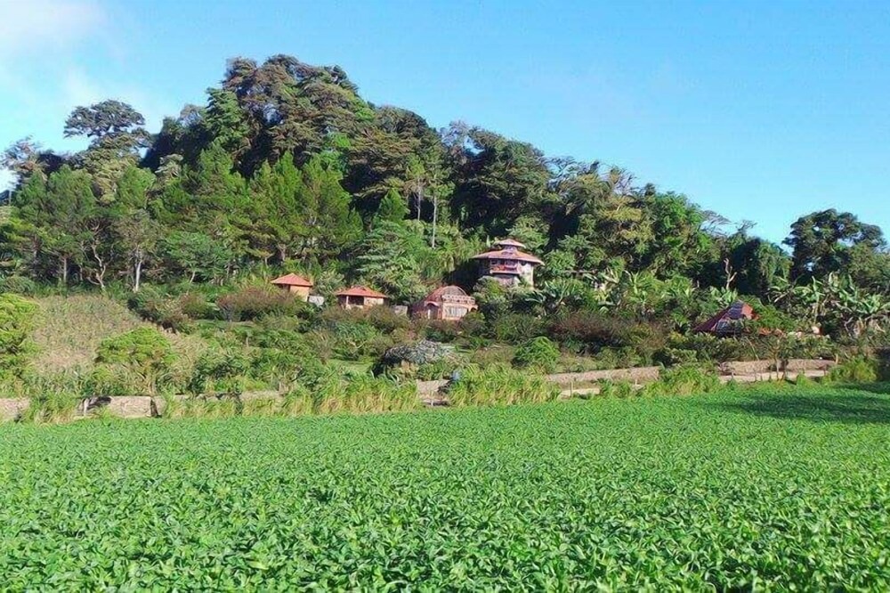 Photo of Outdoor in Puertas Azules
