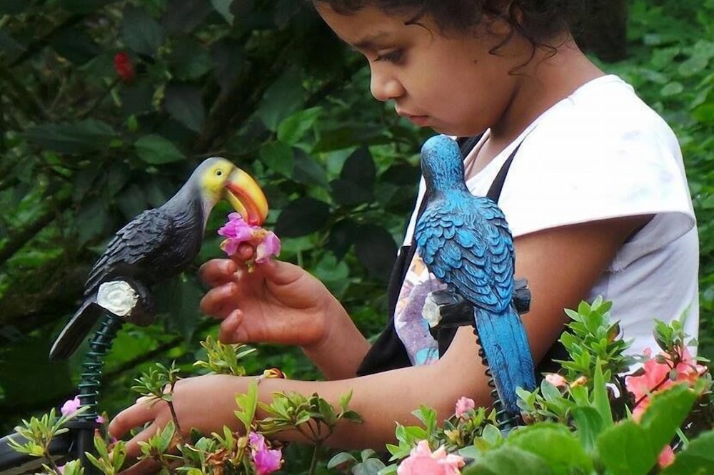 Photo of Outdoor in Puertas Azules