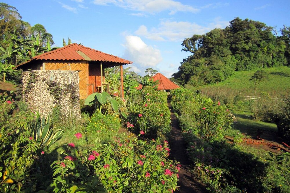 Photo of Outdoor in Puertas Azules