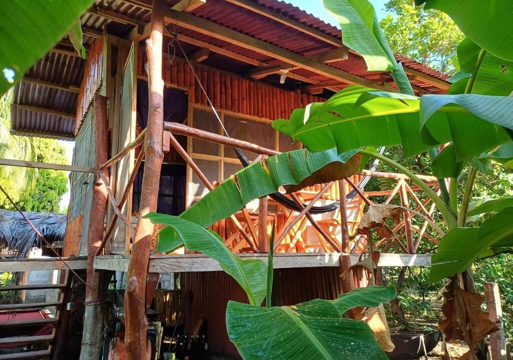 Photo of Outdoor in Ometepe Island