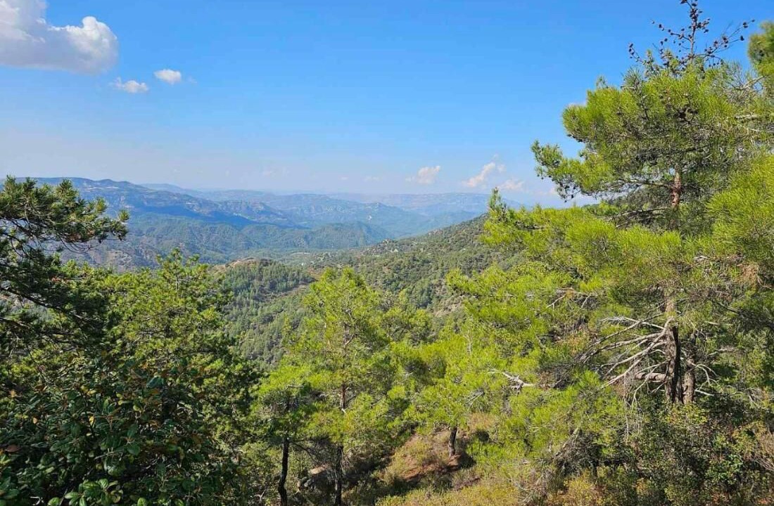 Photo of Outdoor in Saittas