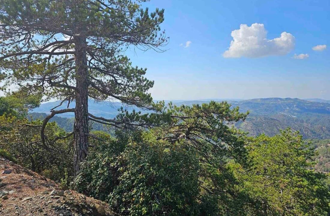 Photo of Outdoor in Saittas