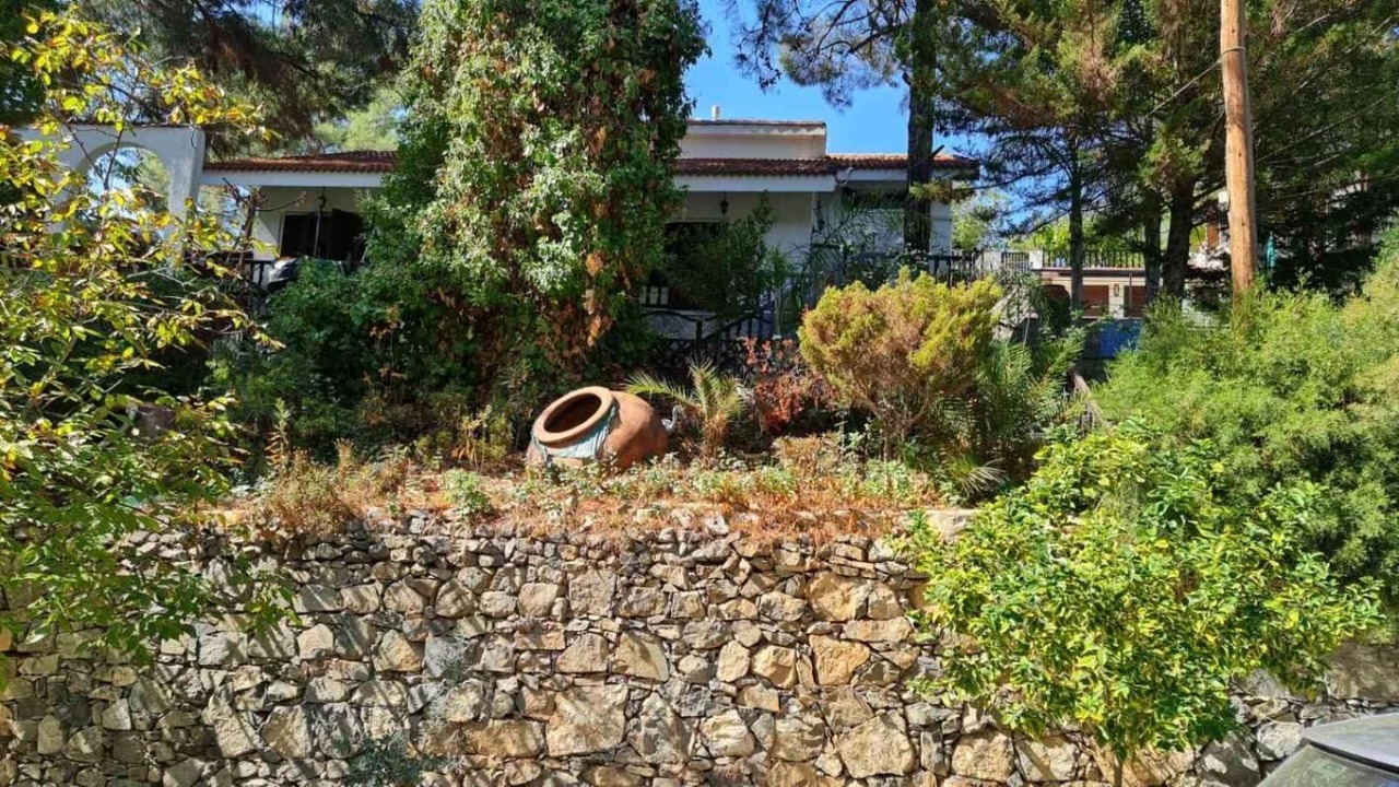 Photo of Outdoor in Saittas