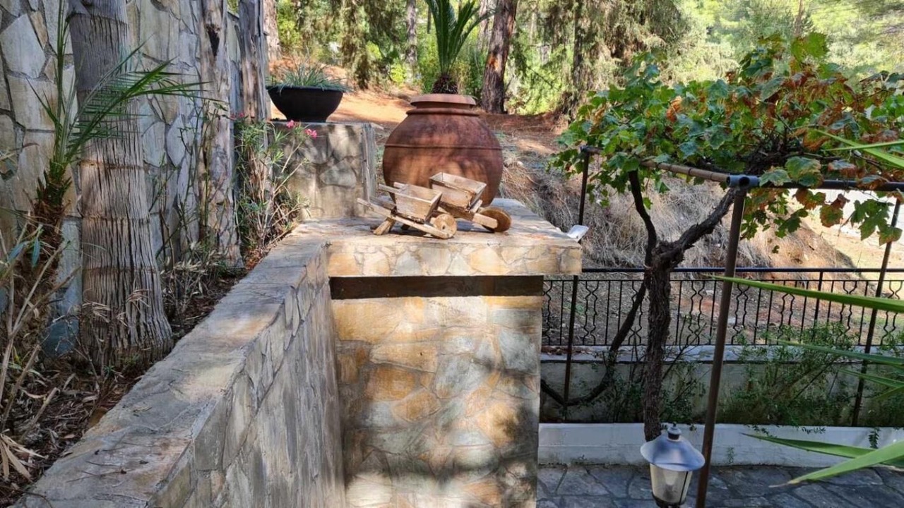 Photo of Outdoor in Saittas
