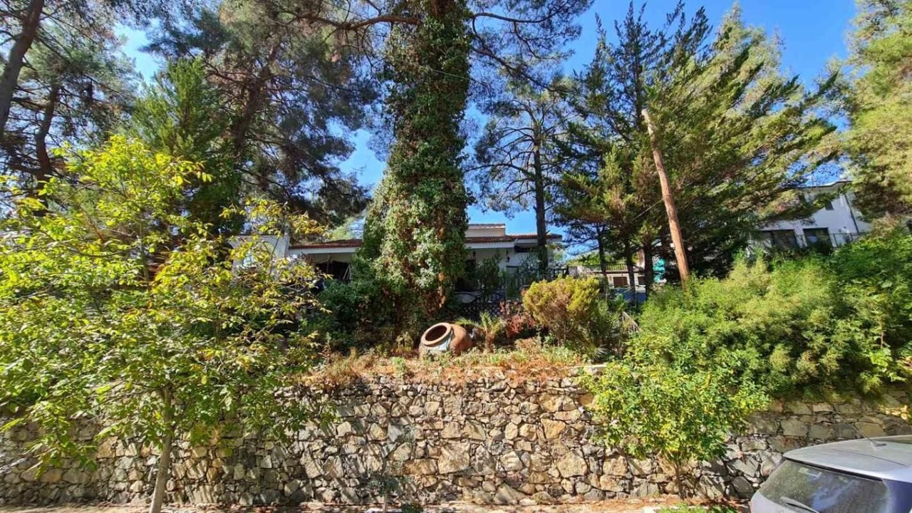 Photo of Outdoor in Saittas
