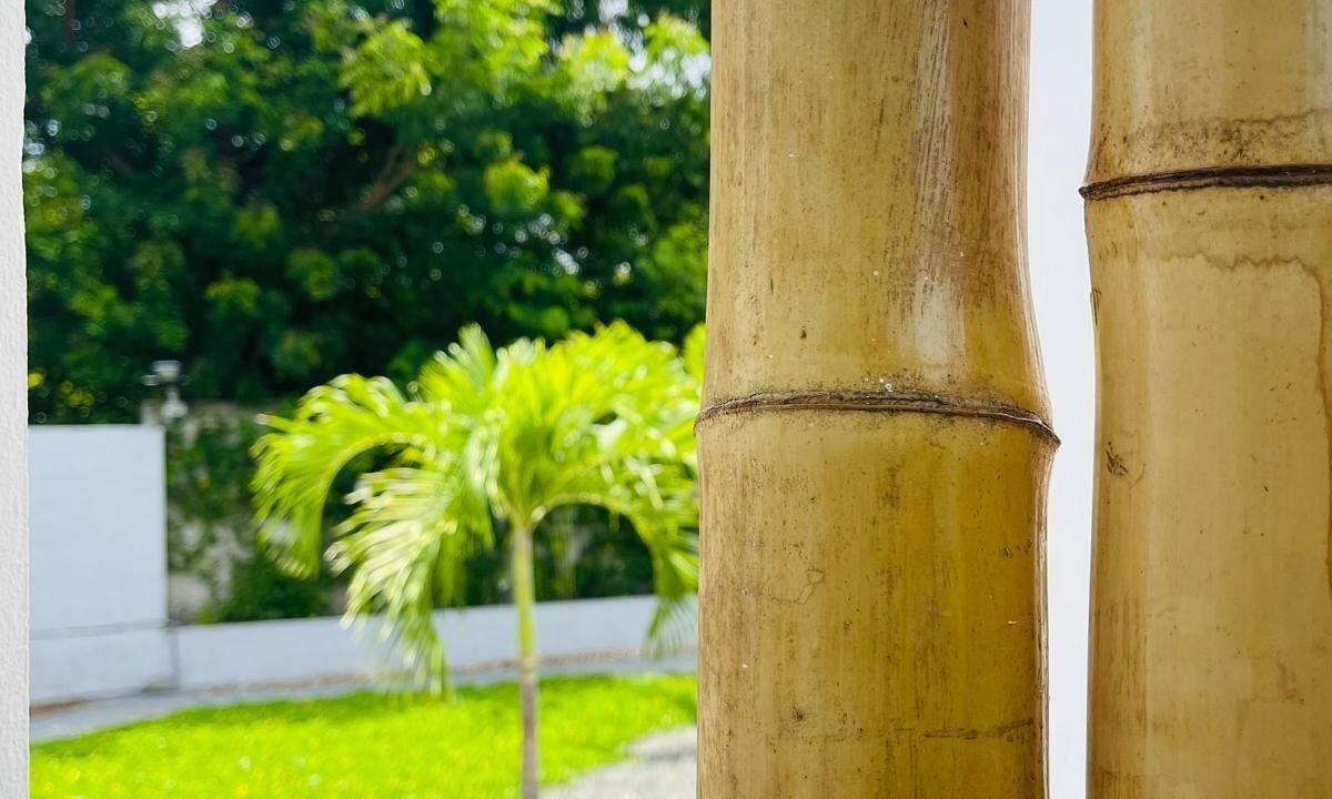 Photo of Outdoor in San Juan del Sur