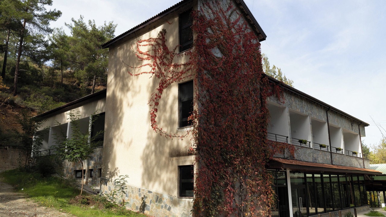 Photo of Outdoor in Vasa Koilaniou