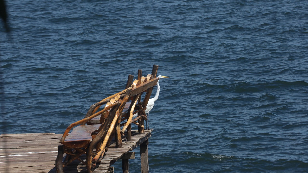 Photo of Outdoor in Balgue