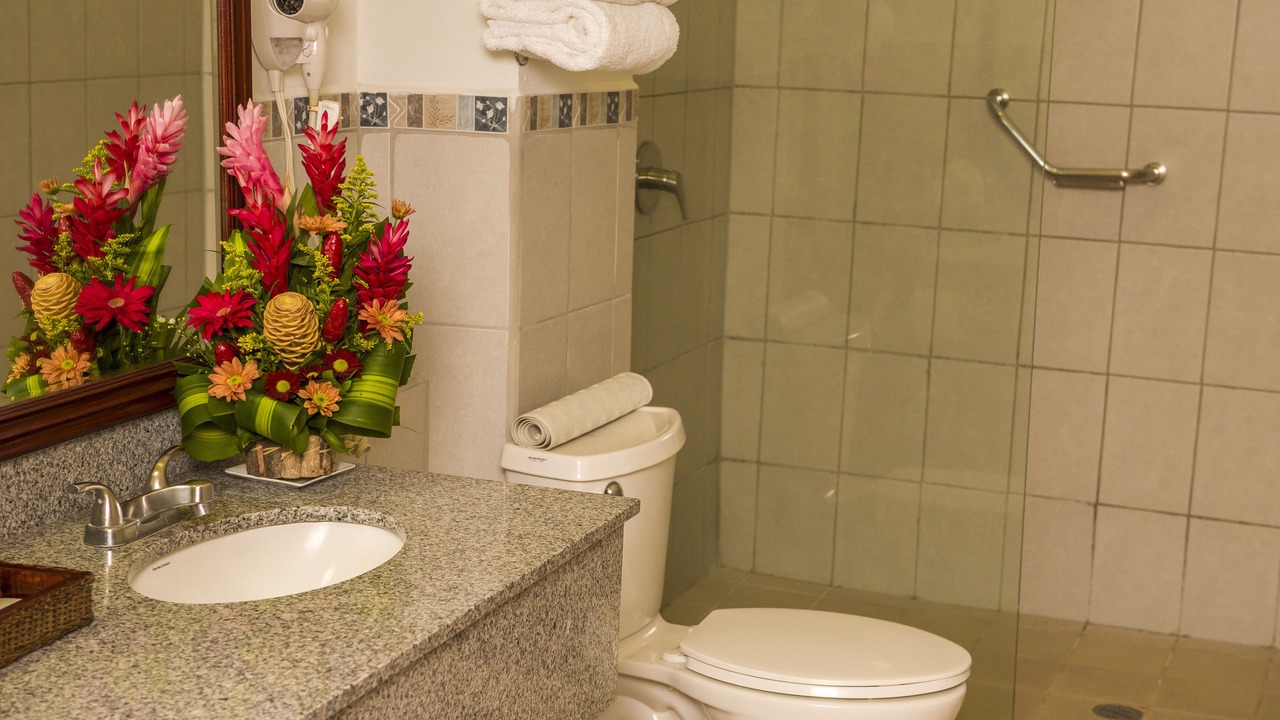 Photo of Bathroom in Granada