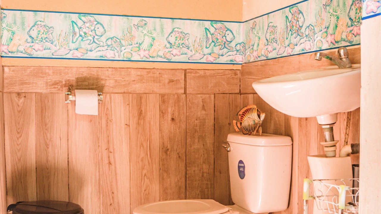Photo of Bathroom in Las Penitas