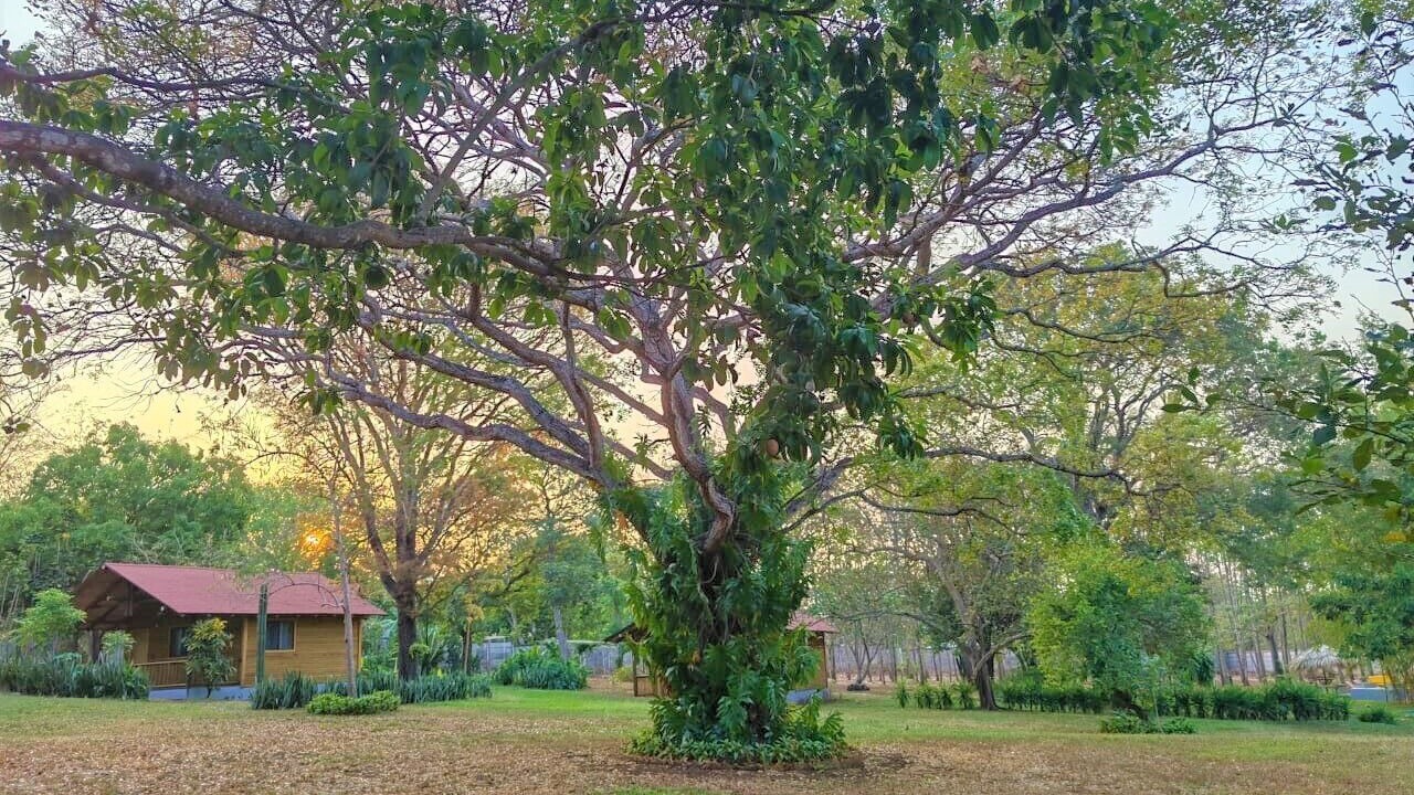 Photo of Outdoor in Nindiri