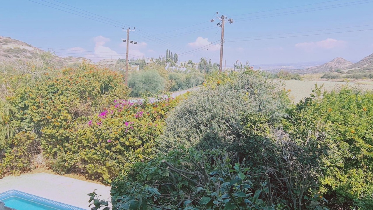 Photo of Others in Pissouri