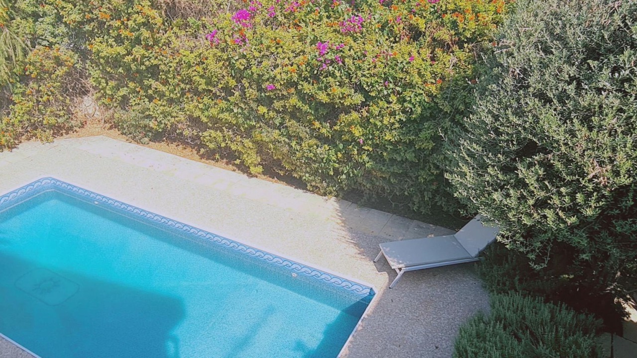 Photo of Others in Pissouri