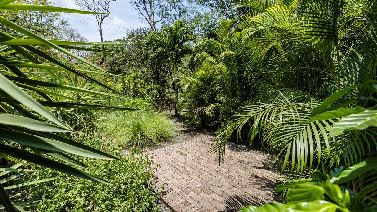 Photo of Outdoor in Playa Colorado