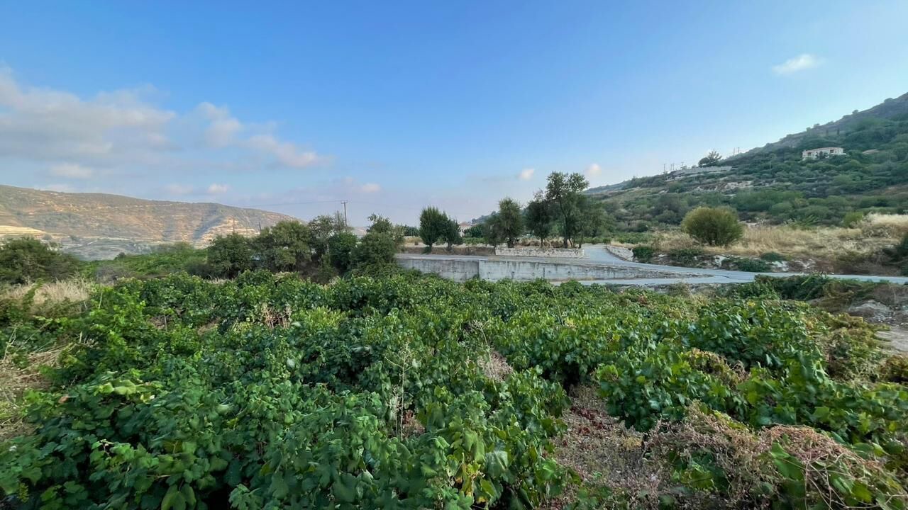 Photo of Others in Omodos