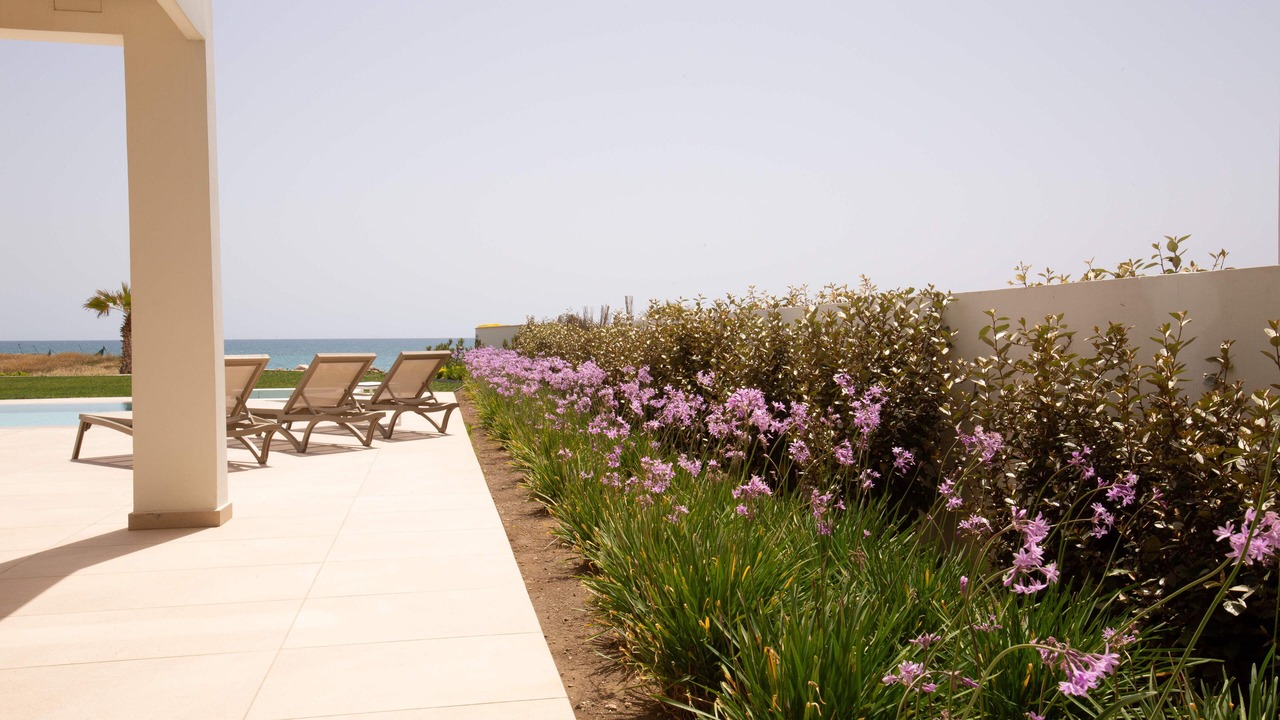 Photo of Outdoor in Softades