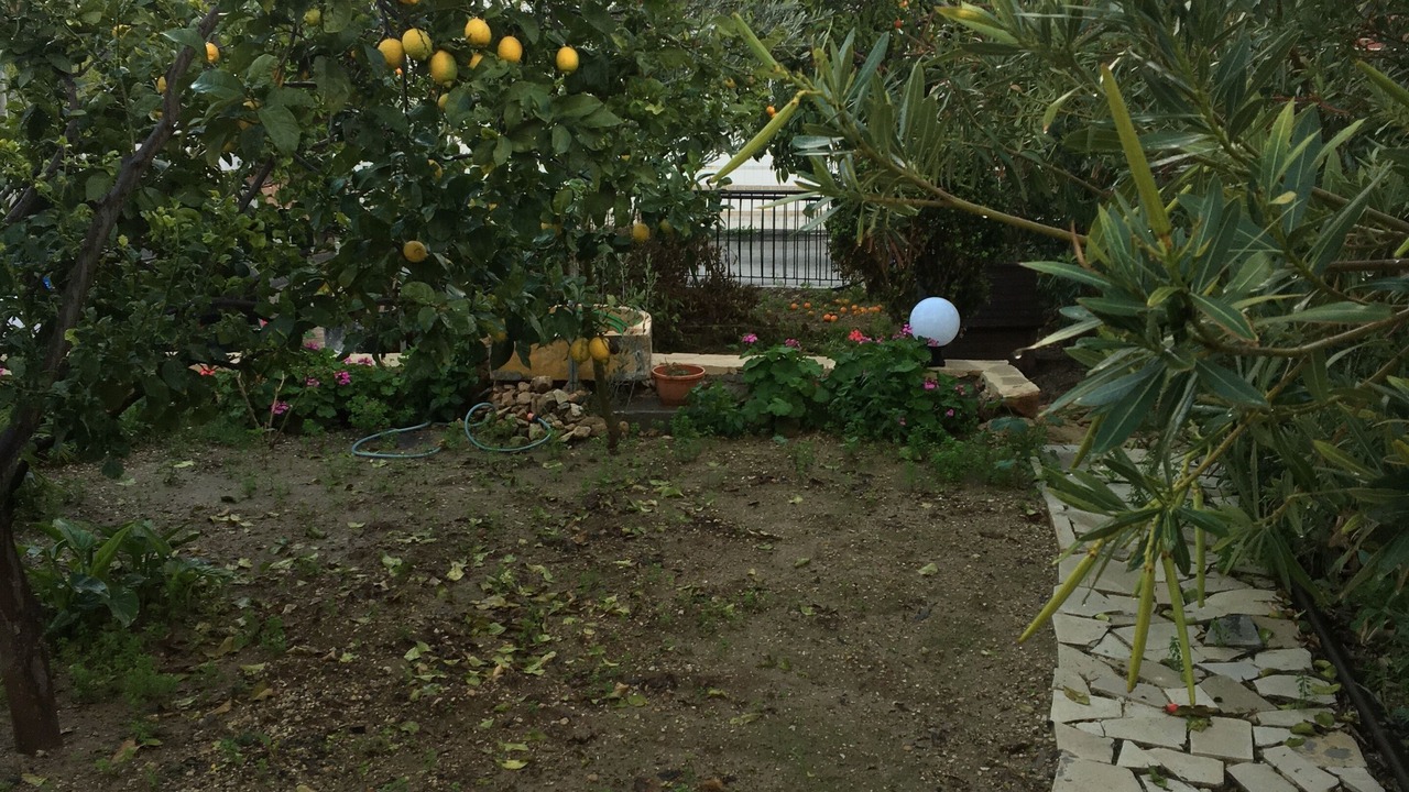 Photo of Outdoor in Geroskipou