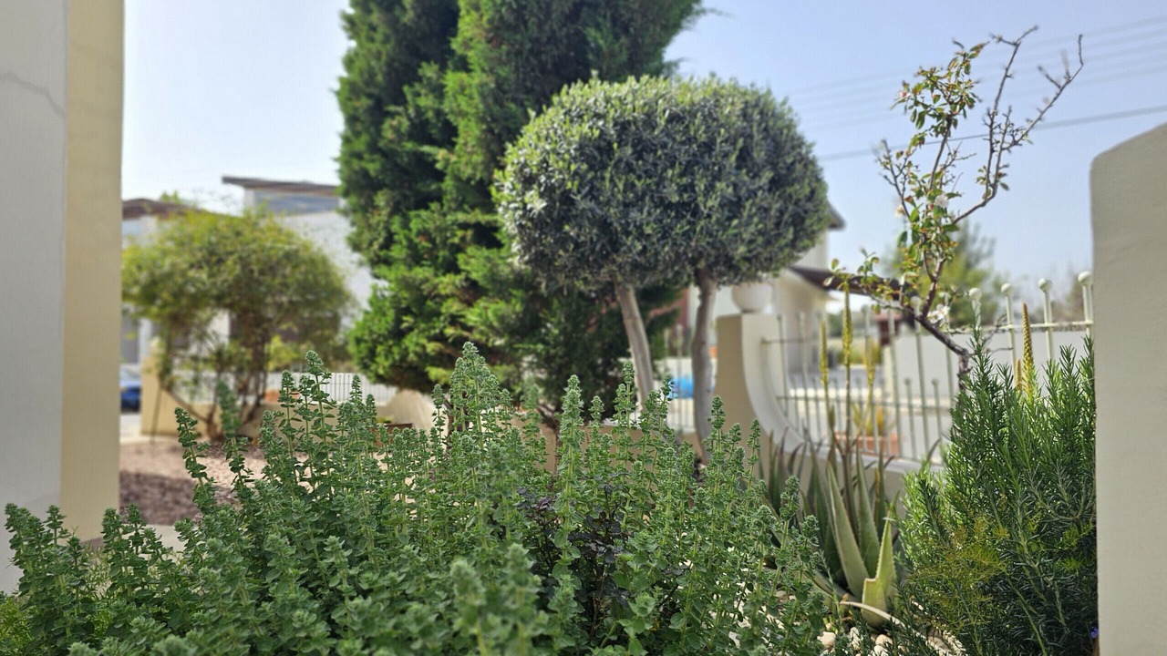 Photo of Outdoor in Aradippou