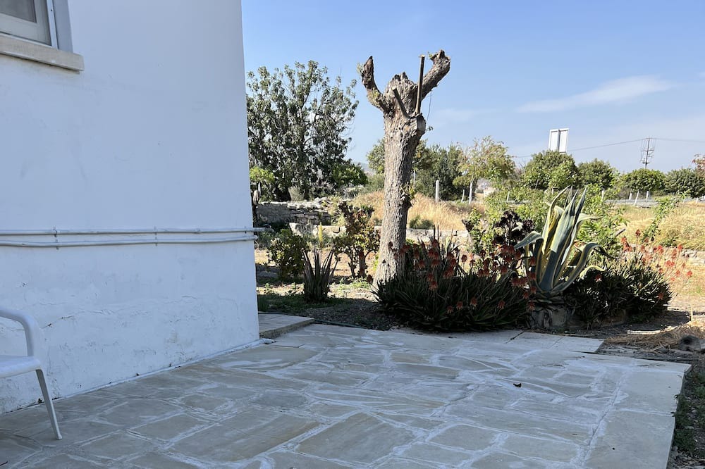Photo of Others in Agios Tychon