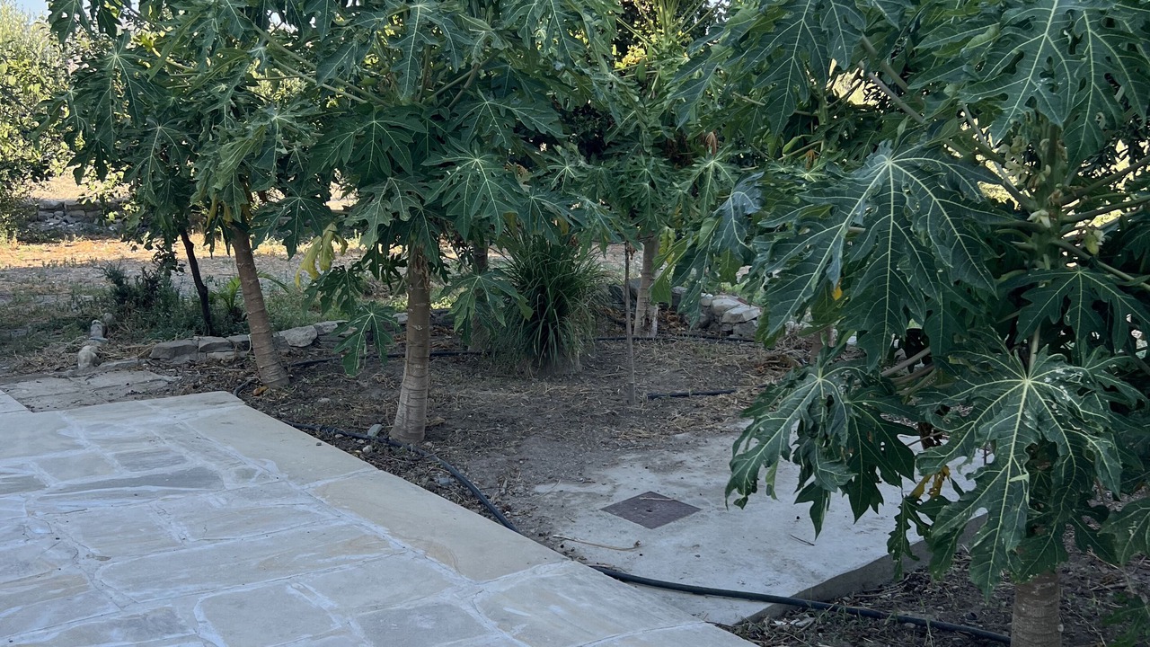 Photo of Outdoor in Agios Tychon