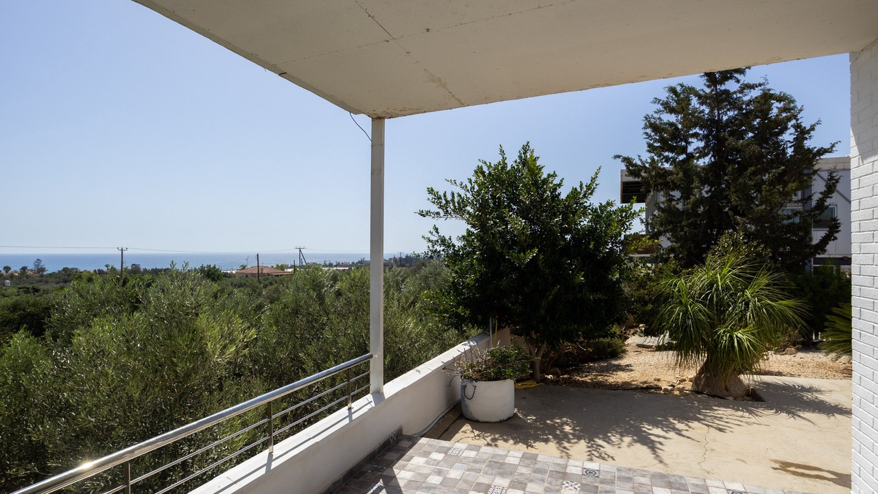 Photo of Others in Agios Theodoros