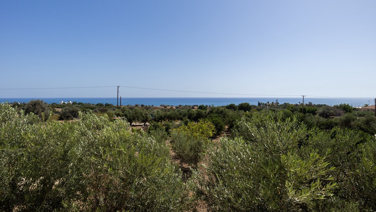 Photo of Others in Agios Theodoros