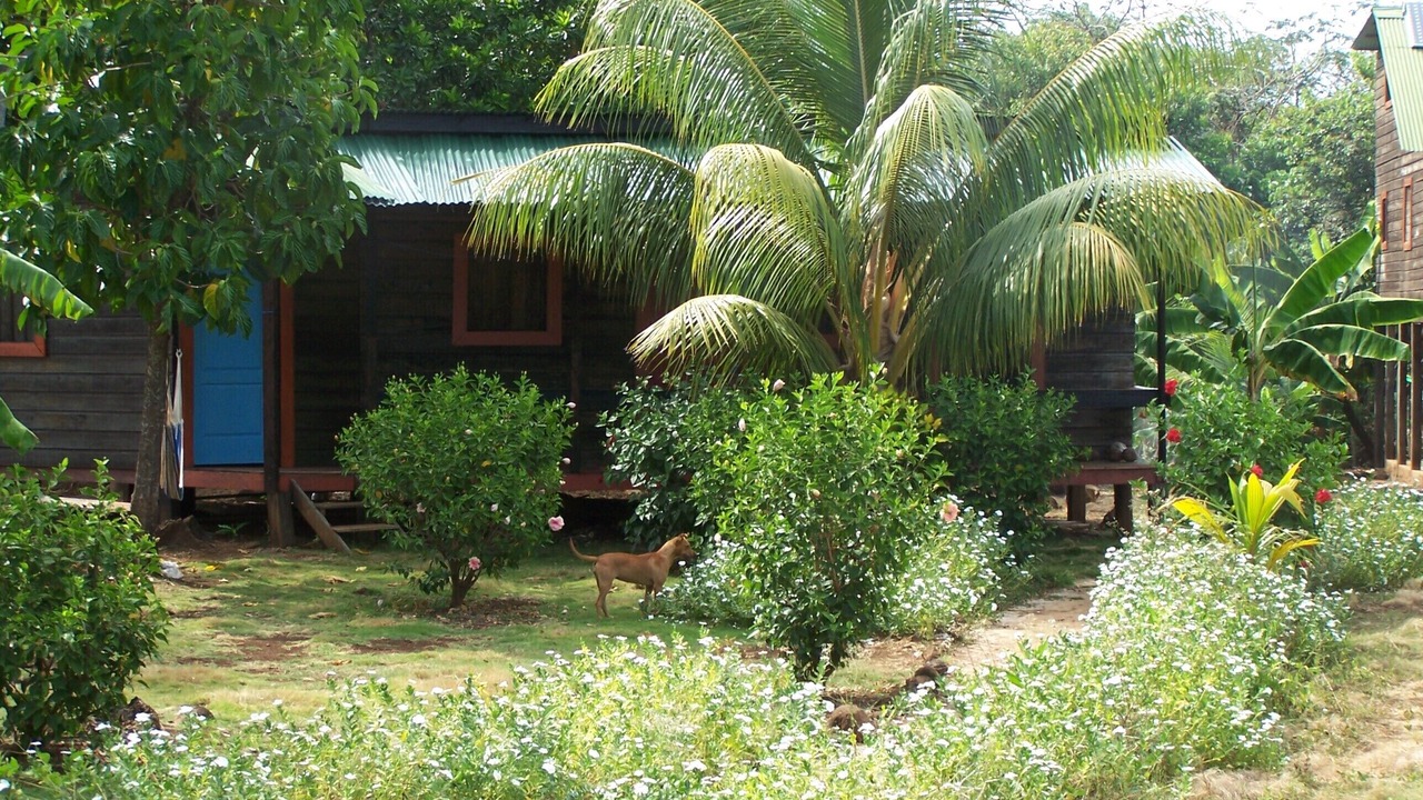 Photo of Bedroom in Little Corn Island