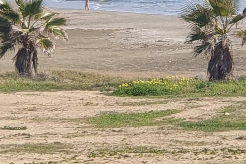 Photo of Others in Pyla