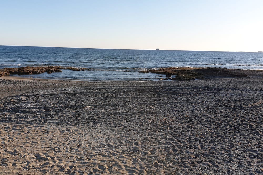 Photo of Others in Pyla