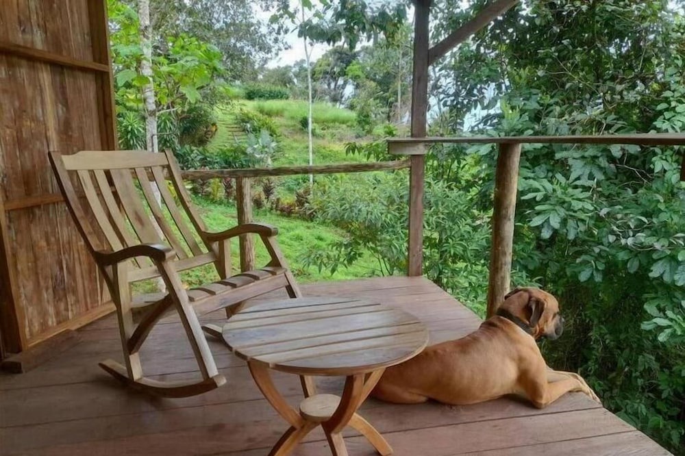 Photo of Outdoor in Sabalos