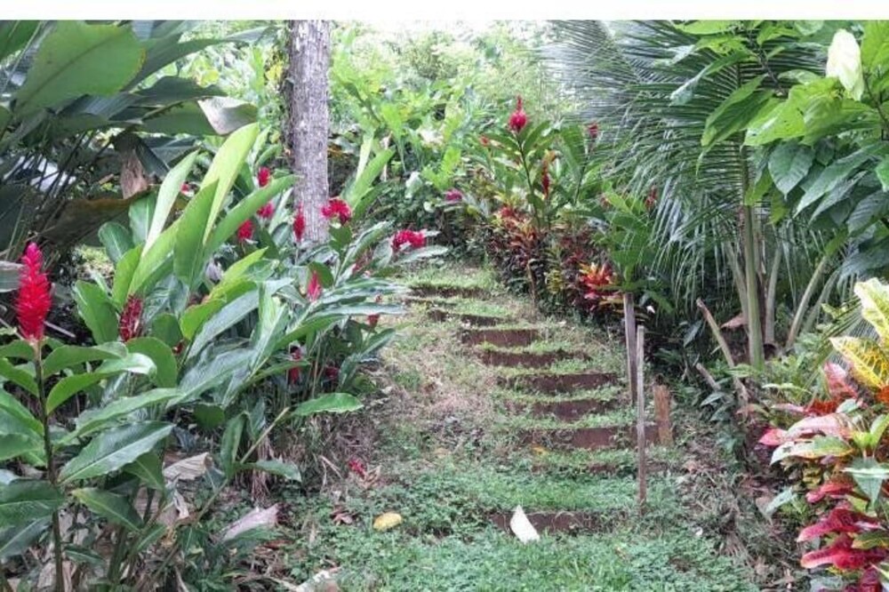 Photo of Outdoor in Sabalos