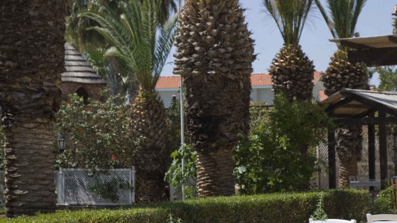 Photo of Others in Pyla