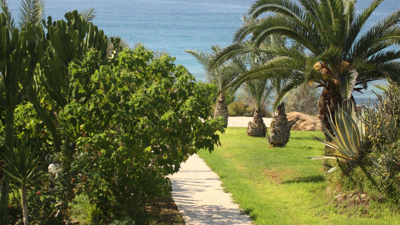 Photo of Outdoor in Chlorakas