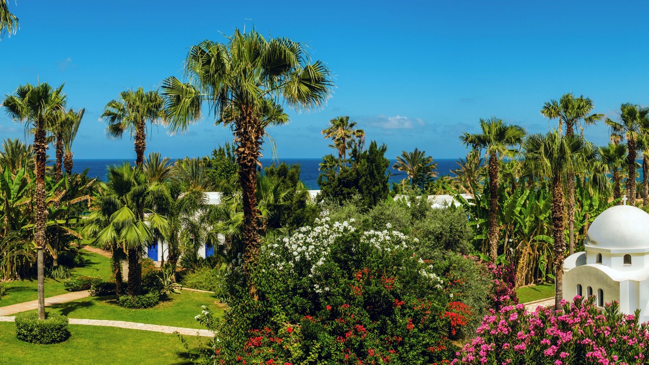 Photo of Outdoor in Chlorakas